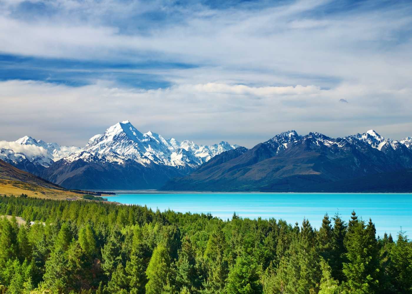 Get a visitor visa to New Zealand
